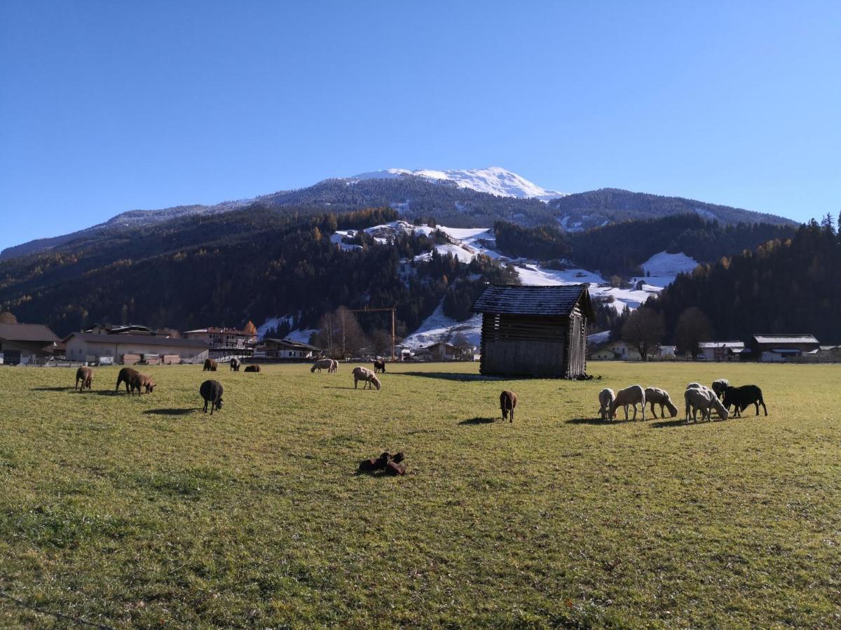 Alpen Chalet Bramberg Bramberg am Wildkogel Extérieur photo